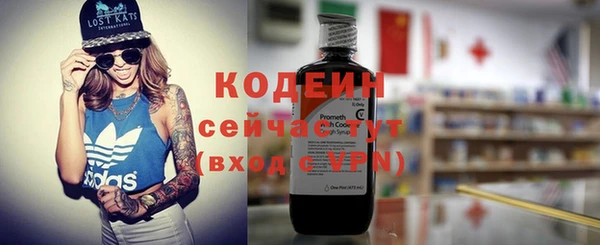 ПСИЛОЦИБИНОВЫЕ ГРИБЫ Инта