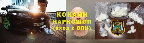 ПСИЛОЦИБИНОВЫЕ ГРИБЫ Инта