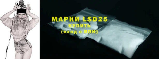 ПСИЛОЦИБИНОВЫЕ ГРИБЫ Инта