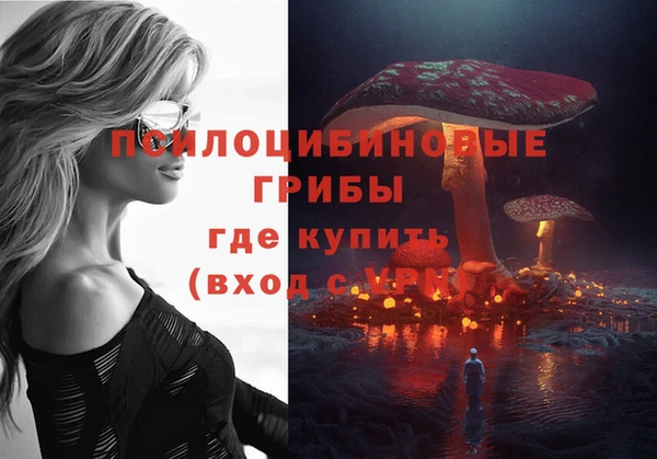 ешки Инсар
