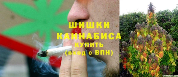 ПСИЛОЦИБИНОВЫЕ ГРИБЫ Инта