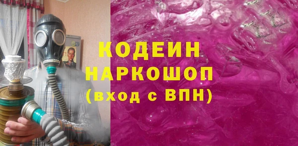 ПСИЛОЦИБИНОВЫЕ ГРИБЫ Инта