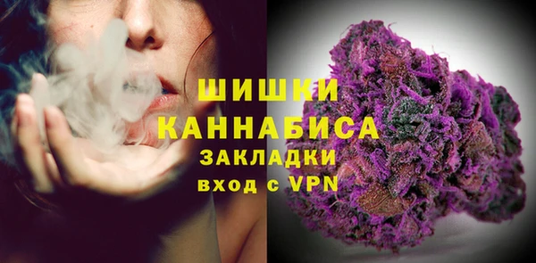 твердый Иннополис