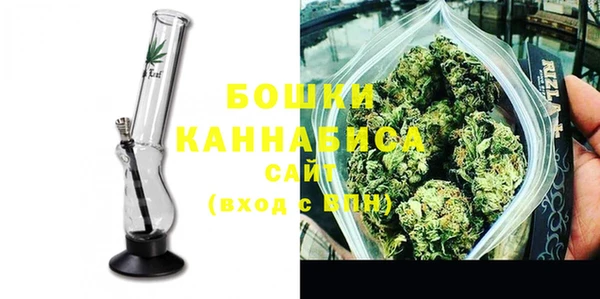 ПСИЛОЦИБИНОВЫЕ ГРИБЫ Инта
