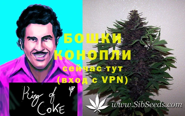 твердый Иннополис