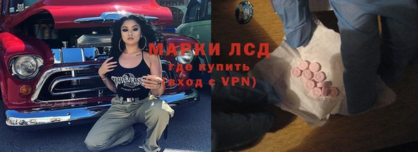 ПСИЛОЦИБИНОВЫЕ ГРИБЫ Инта