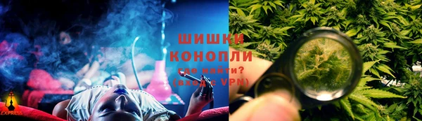 ПСИЛОЦИБИНОВЫЕ ГРИБЫ Инта