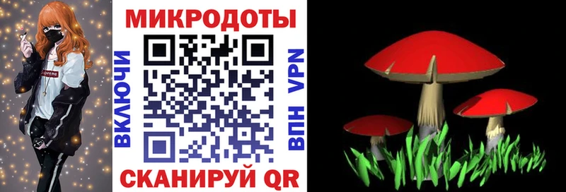 blacksprut ТОР  Гвардейск  Галлюциногенные грибы Psilocybe  цены наркотик 